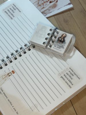 Kit Devocional Nossa Senhora de Fátima