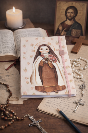 Bloco Organizador Santa Teresinha 